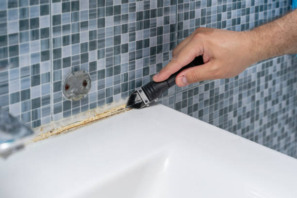Woodstock, IL Mold Removal Company