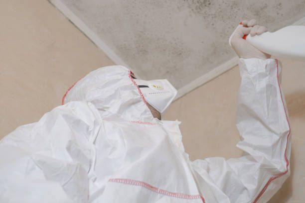 Best Professional Mold Removal  in Woodstock, IL